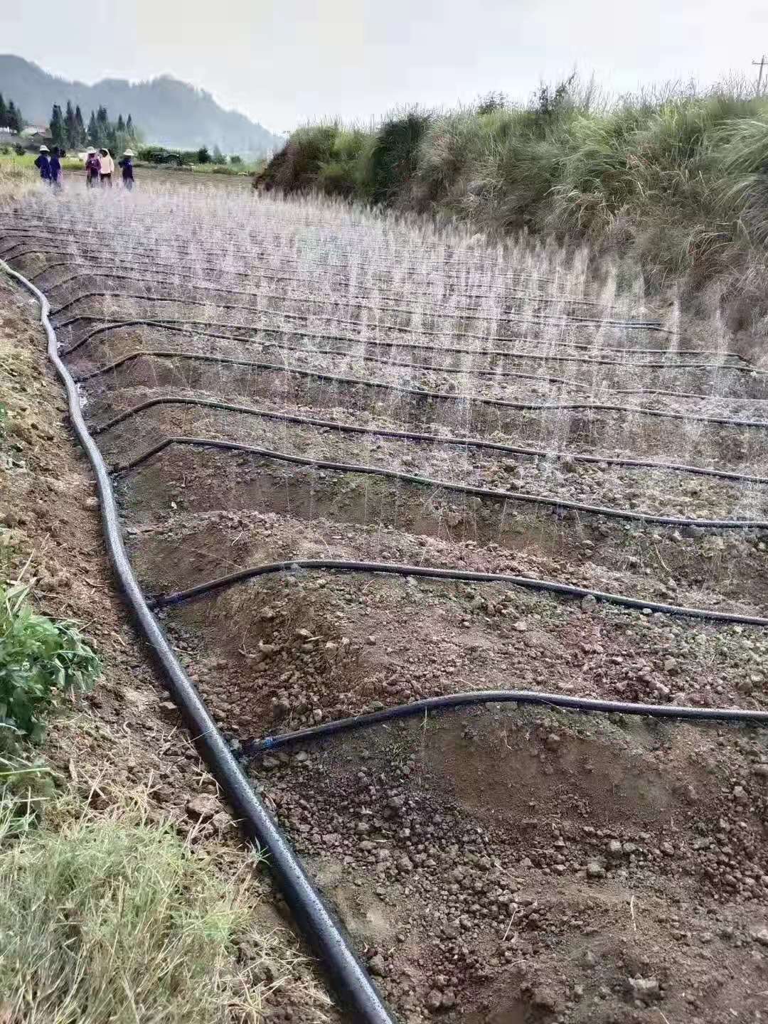 微喷带